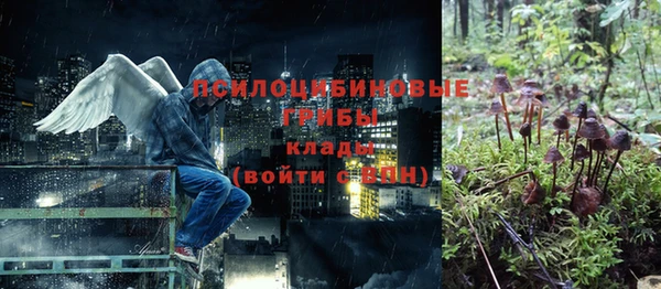 МДПВ Гусь-Хрустальный