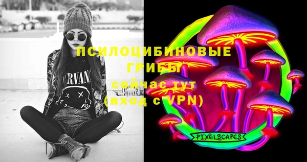 бутират Гусиноозёрск